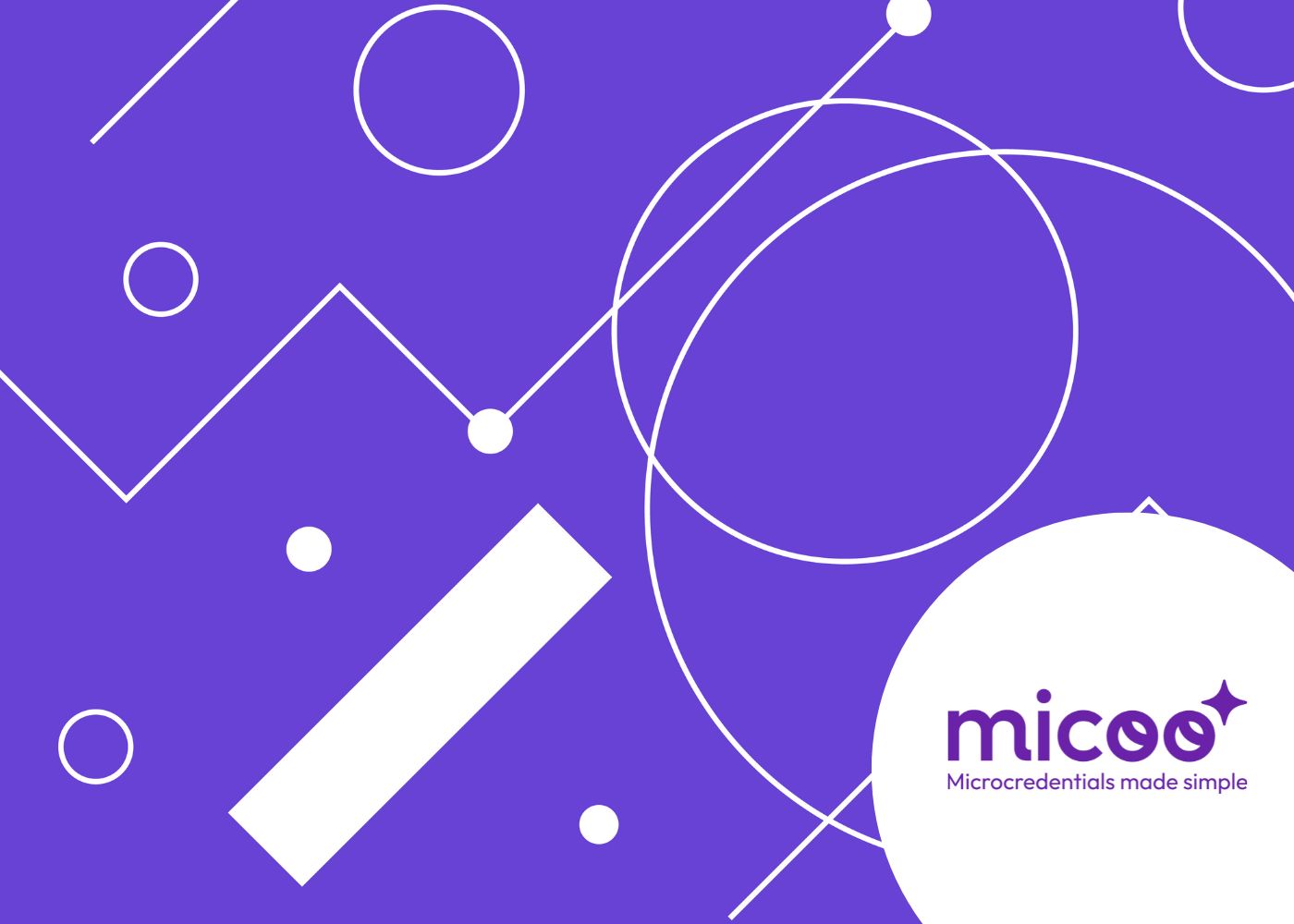 MICOO Assessor