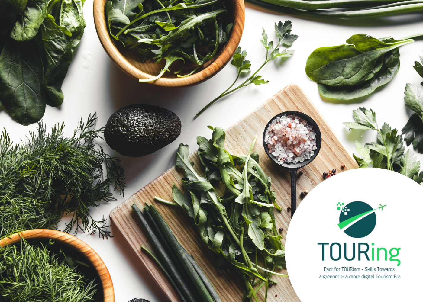 INGREDIENTES SUSTENTÁVEIS PARA UMA COZINHA VERDE