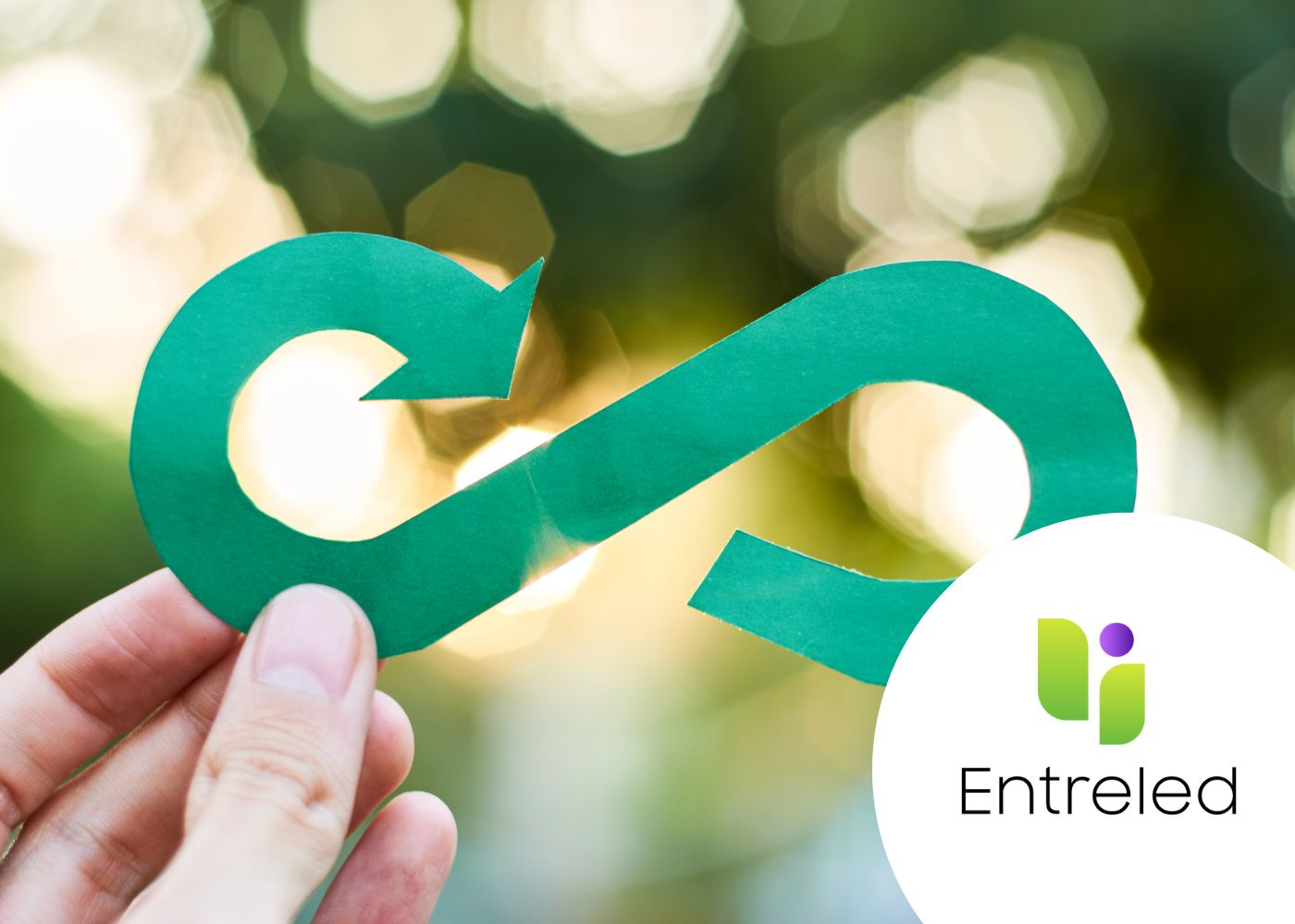 CIRCULAR ECONOMY, ENTREPRENEURSHIP AND SUSTAINABILITY
