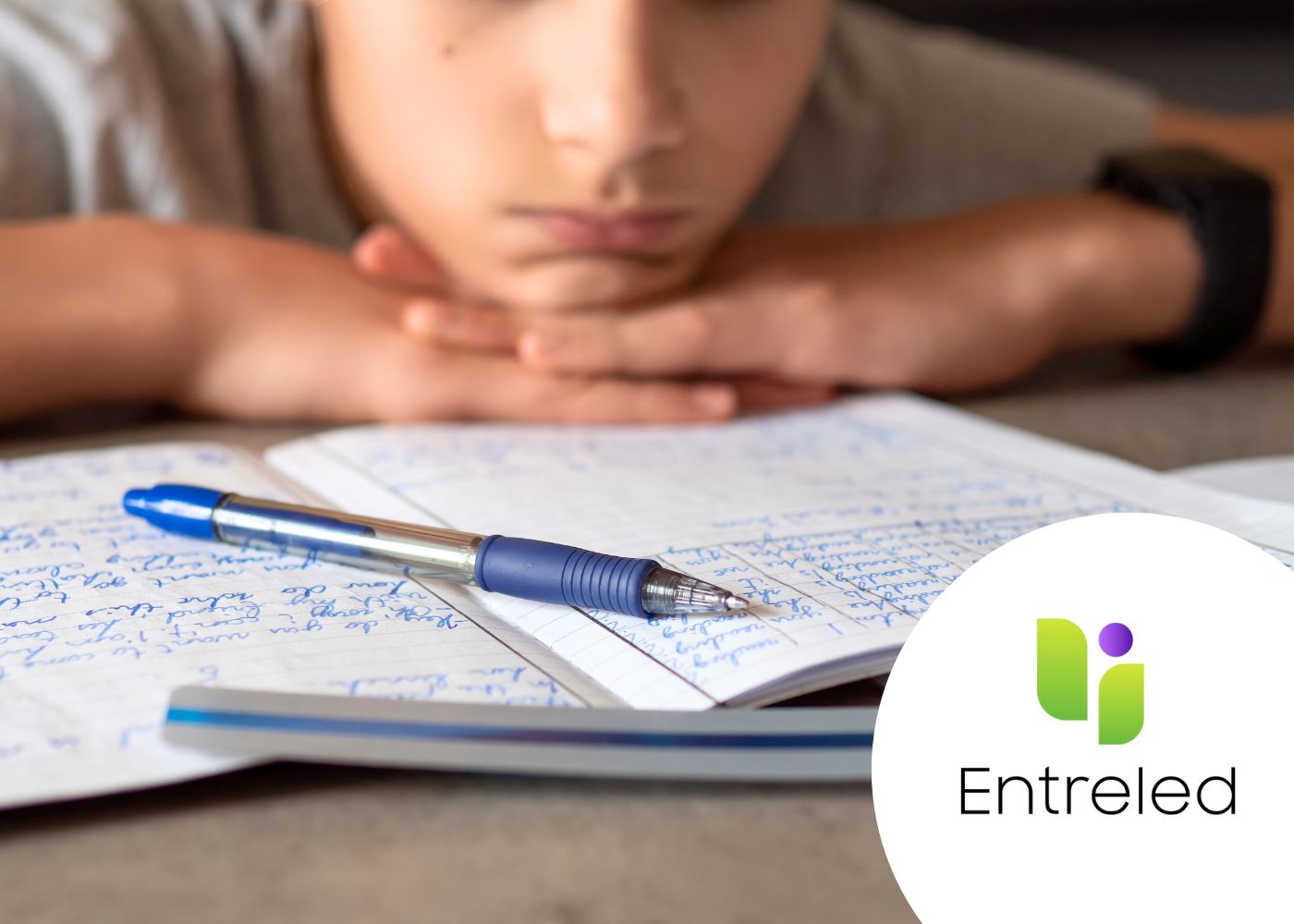 LEARNING DIFFICULTIES, DIFFERENTIATION AND ASSESSMENT STRATEGIES