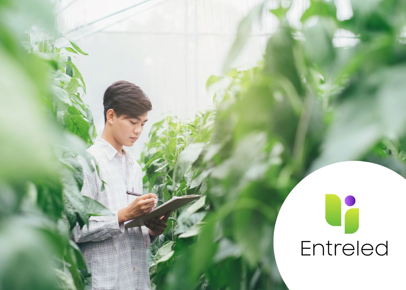 BUSINESS STRATEGIES FOR GREEN AND DIGITAL TRANSITION