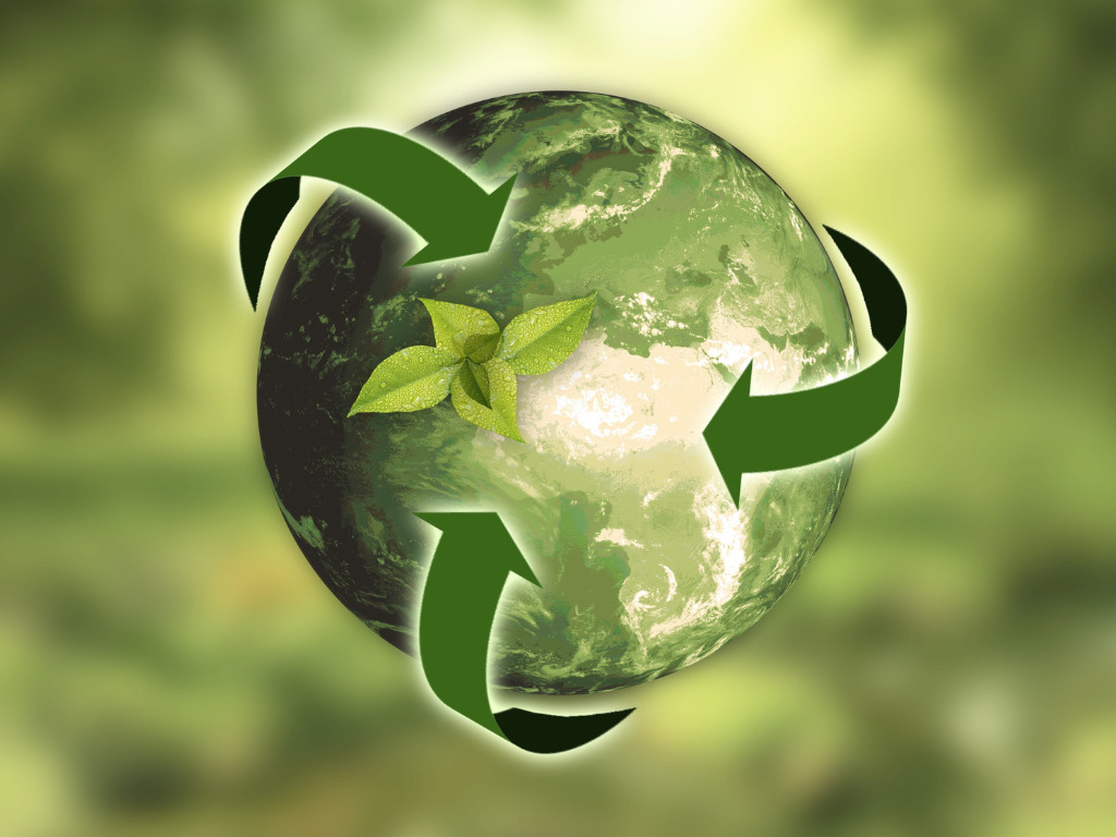 Sustainability and Green Skills in European Business