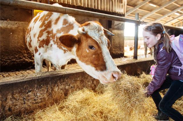 Basic Animal Care and Welfare in a Biological Park